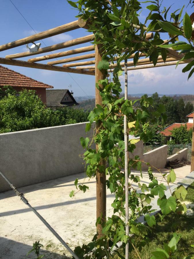 Vale Coelhos Casa De Campo Sarnadela Εξωτερικό φωτογραφία